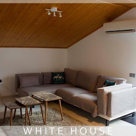 White House Villa Tbilisi Buitenkant foto